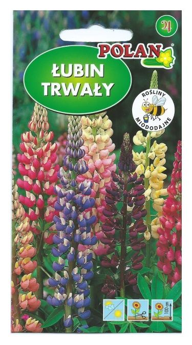 Łubin trwały mix 2g Polan