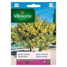 Akacja srebrzysta 20 sztuk Vilmorin