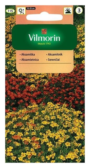 Aksamitka wąskolistna Mix 0,5g Vilmorin