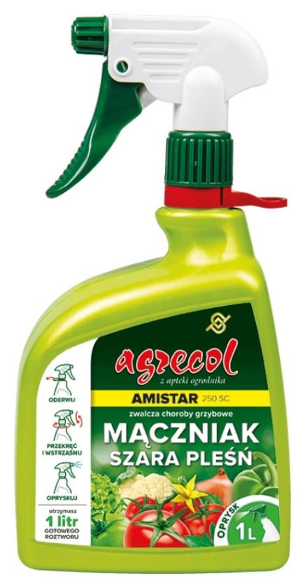 Amistar 250 SC środek grzybobójczy