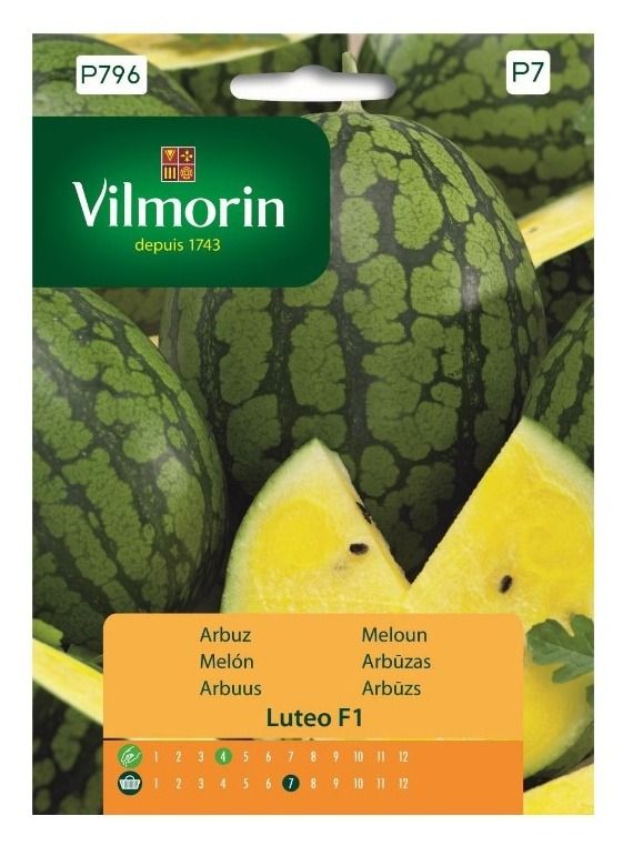 Arbuz Luteo F1 7g Vilmorin