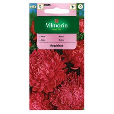 Aster chiński peoniowy Magdalena 0,5g Vilmorin