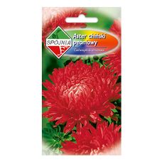 Aster chiński peoniowy Spójnia