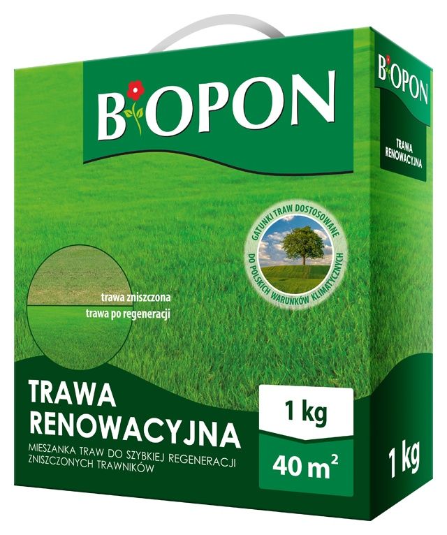 Trawa renowacyjna 1k Bopon