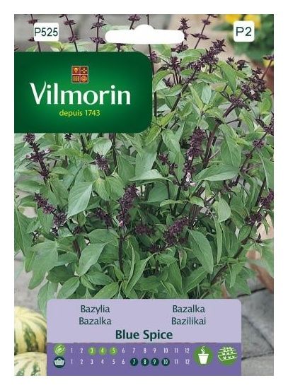 Bazylia Blue Spice 1g Vilmorin