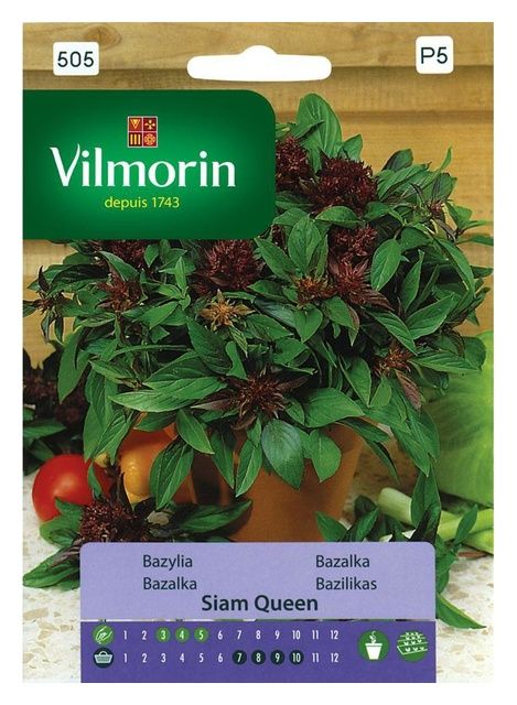 Bazylia Siam Queen 0,5g Vilmorin