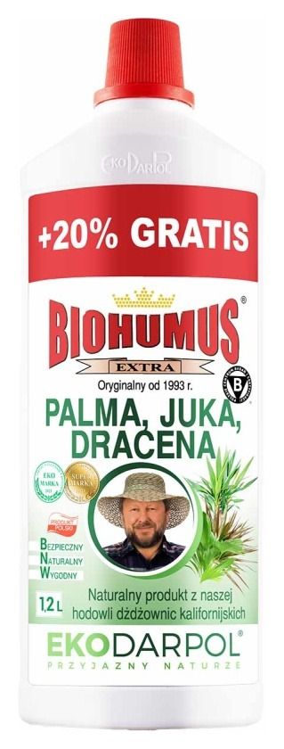 geigenfeige englisch Geigenfeige XL | Ficus lyrata