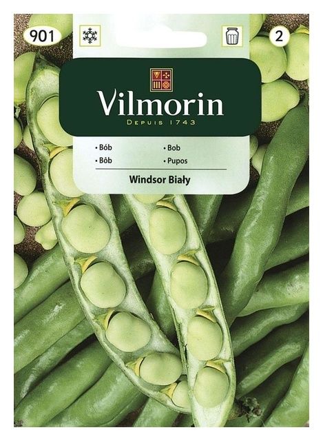 B&oacute;b Windsor biały 40g Vilmorin