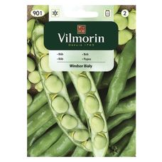 Bób Windsor biały 40g Vilmorin