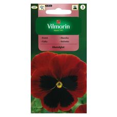 Bratek Abendglut 0,5g Vilmorin