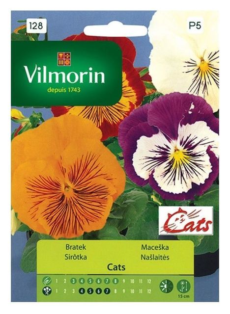 Bratek Cats Vilmorin