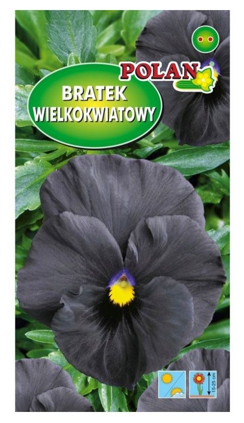 Bratek ogrodowy czarny 0,4g Polan