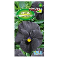 Bratek ogrodowy czarny 0,4g Polan