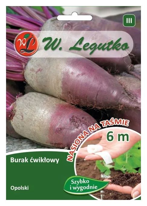 Burak ćwikłowy Opolski taśma 6m Legutko