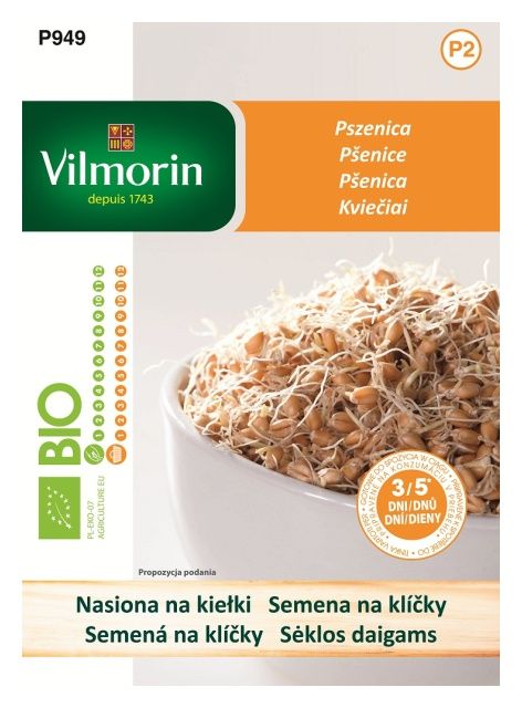 BIO Kiełki Pszenica 40g Vilmorin