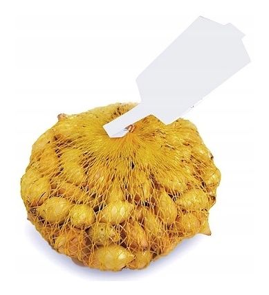 Cebula dymka zimowa Senshyu Yellow 250g