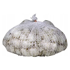 Cebula dymka zimowa Snowball GMF Group