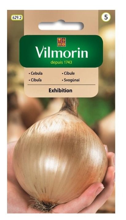 Cebula Exhibition 0,8g Vilmorin