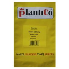 Cebula siedmiolatka Bajkał 100g Plantico