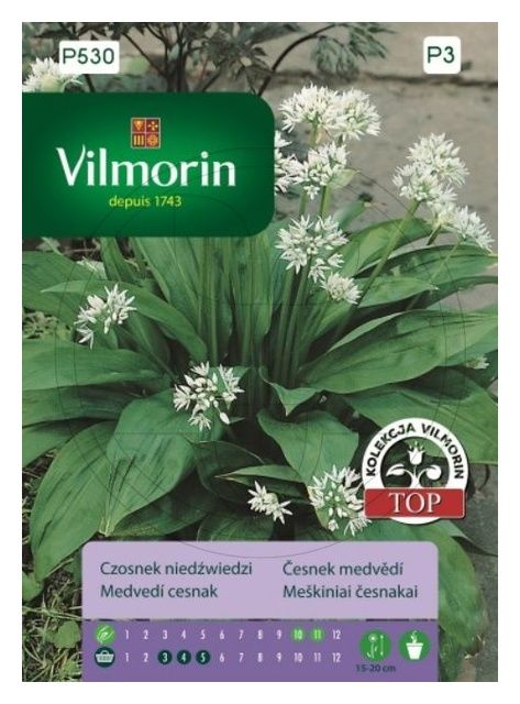 Czosnek Niedźwiedzi 0,5g Vilmorin 