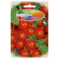 Pomidor Pokusa 0,5g Spójnia