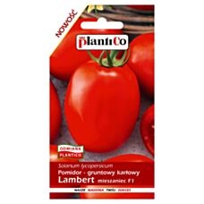 Pomidor Lambert 0,5g PlantiCO