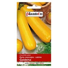 Cukinia Goldena 3g Plantico