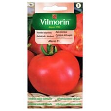 Pomidor Ateron 0,2g Vilmorin