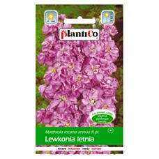 Lewkonia letnia fioletowa 0,5g PlantiCO