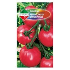 Pomidor Malinowy Ożarowski 0,5g Spójnia