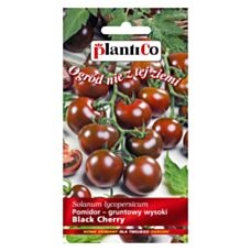 Pomidor gruntowy Black Cherry 0,2g PlantiCo
