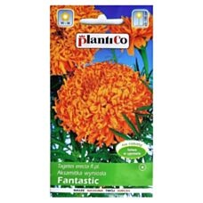 Aksamitka Fantastic 0,5g PlantiCo