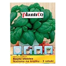 Bazylia właściwa nasiona na krążku 3 sztuki PlantiCo