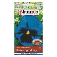 Bratek ogrodowy niebieski 0,5g PlantiCo
