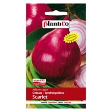 Cebula Scarlet 5g PlantiCO
