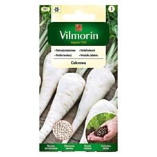 Pietruszka korzeniowa Cukrowa 850 sztuk nasiona otoczkowane Vilmorin