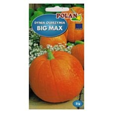 Dynia olbrzymia Big Max 3g Polan