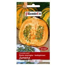 Dynia zwyczajna bezłupinowa Junona 3g PlantiCo