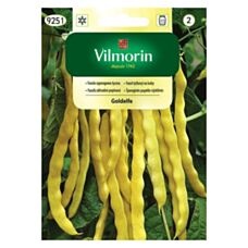Fasola szparagowa Goldelfe 10g Vilmorin
