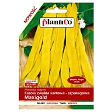 Fasola szparagowa żółta Maxigold 30g Plantico