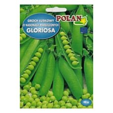 Groch Gloriosa 40g Polan