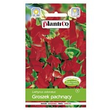 Groszek pachnący czerwony 2g PlantiCo