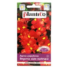 Begonia stale kwitnąca Indianerin 0,1g PlantiCo