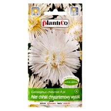 Aster chiński chryzantemowy wysoki biały 1g PlantiCo