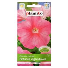 Petunia ogrodowa różowa 0,05g PlantiCo