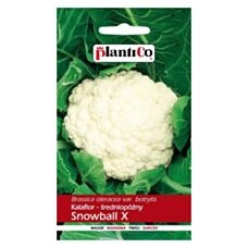 Kalafior Snowball 1g PlantiCo