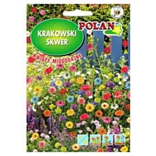 Krakowski Skwer kwiaty miododajne 30g Polan