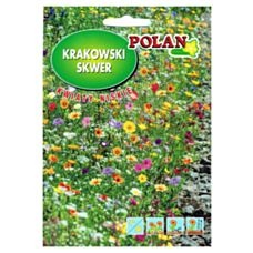 Krakowski Skwer kwiaty niskie 20g Polan