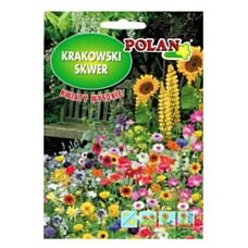 Krakowski Skwer kwiaty wysokie 30g Polan 
