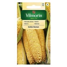 Kukurydza cukrowa Golden Bantam 20g Vilmorin